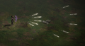 Thumbnail for version as of 19:30, 21 September 2026
